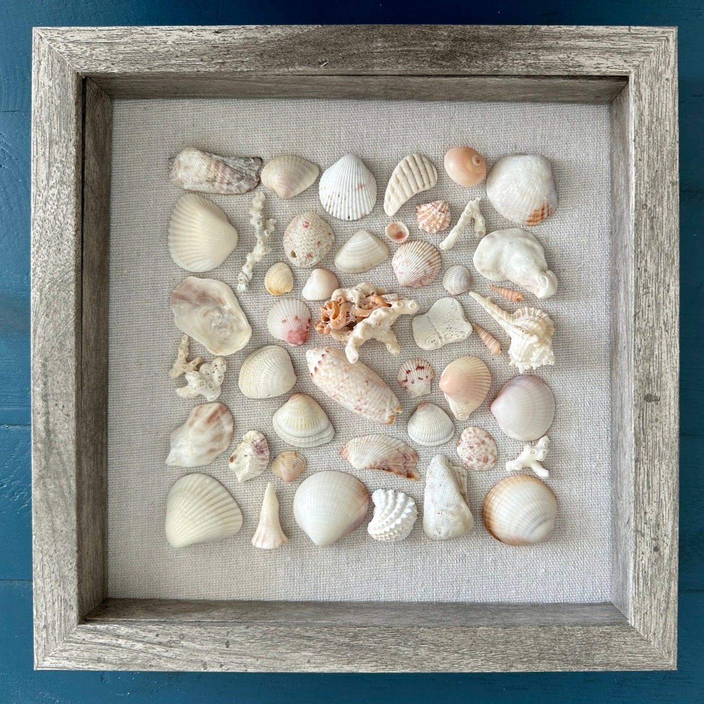 9x9 Seashell wood shadow box front view by jacqueline mb designs