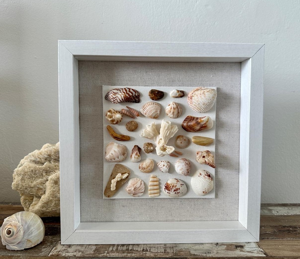 Seashell Art Shadow Box 9x9 white browns & orange by Jacqueline mb designs