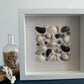 8x8 mussel clam seashell framed art by jacqueline mb designs 