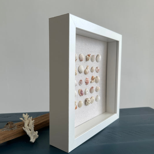 8x8 Seashell art - shells in a row Side View by jacqueline mb designs 