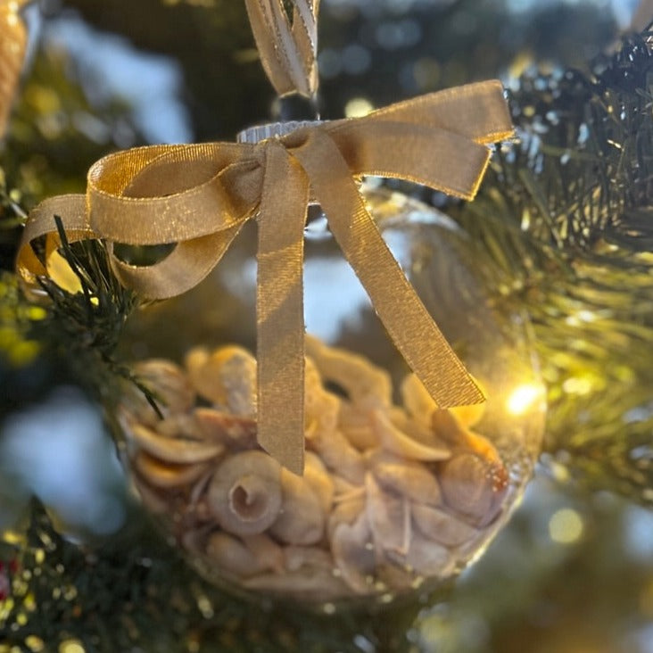 seashell ornament small round yellow shells with gold ribbon