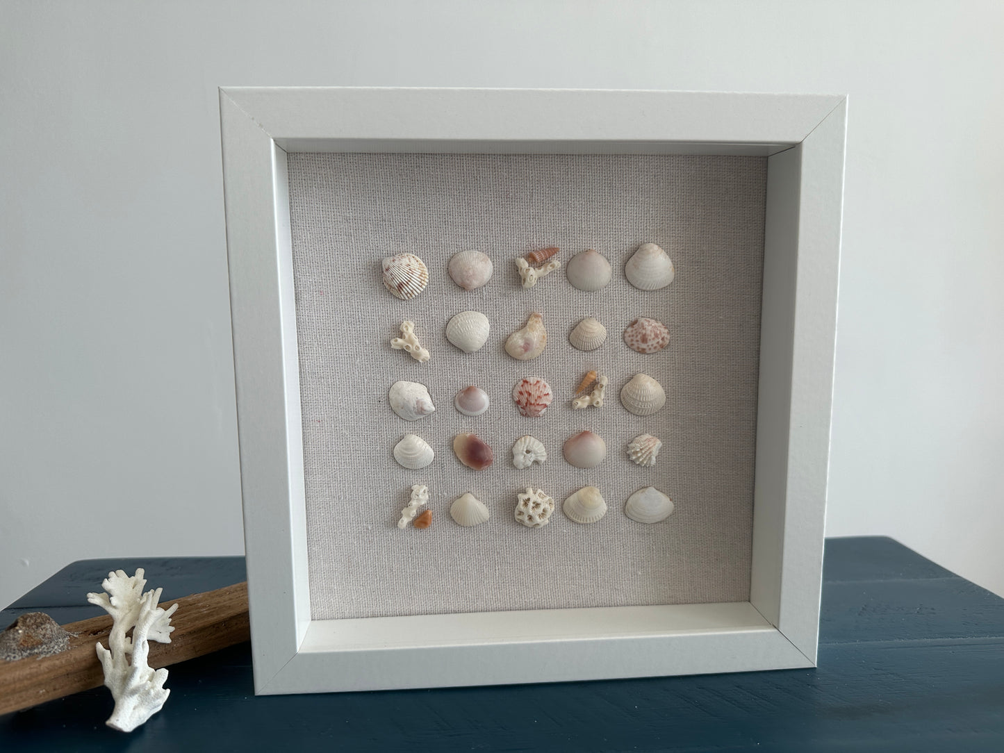 8x8 Seashell art - shells in a row by jacqueline mb designs
