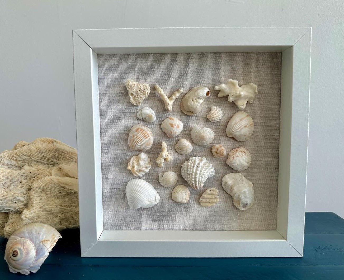 Seashell Art Spiny Jewel Box Shell - 8x8 – Jacqueline MB Designs