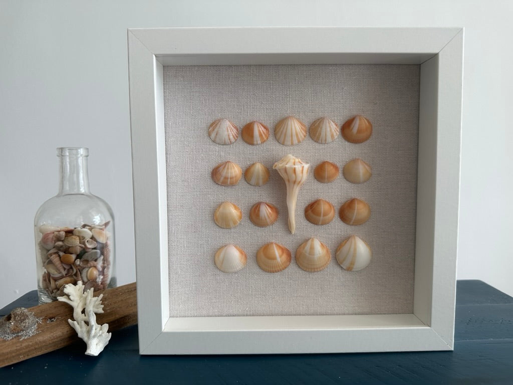 8x8 seashell art Whelk shell by jacqueline mb designs 