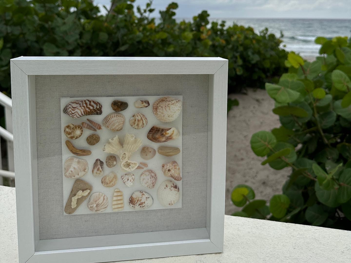 Seashell art 9x9 shadow box whites, browns, orange 