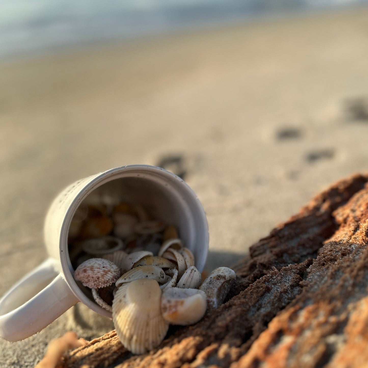 morning coffee cup filled with my treasures from the beach jacqueline mb designs jacqueline bergeron