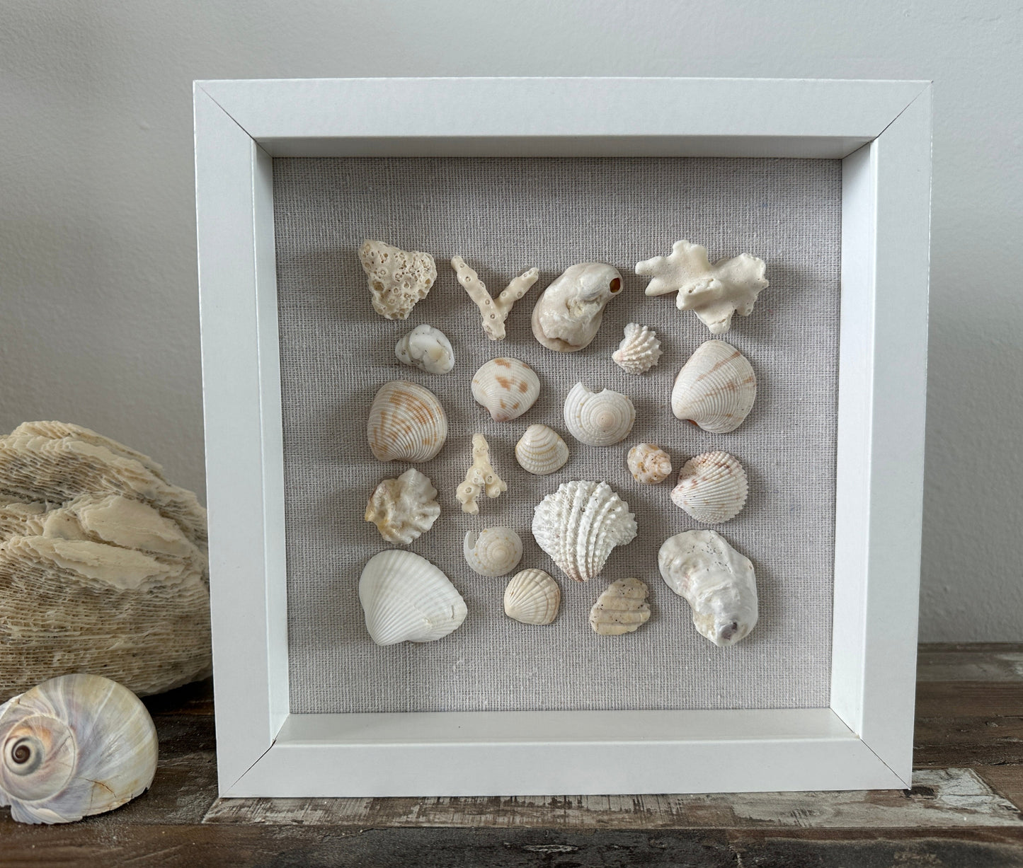 8x8 seashell wall art shadow box white on linen by jacquelin mb designs