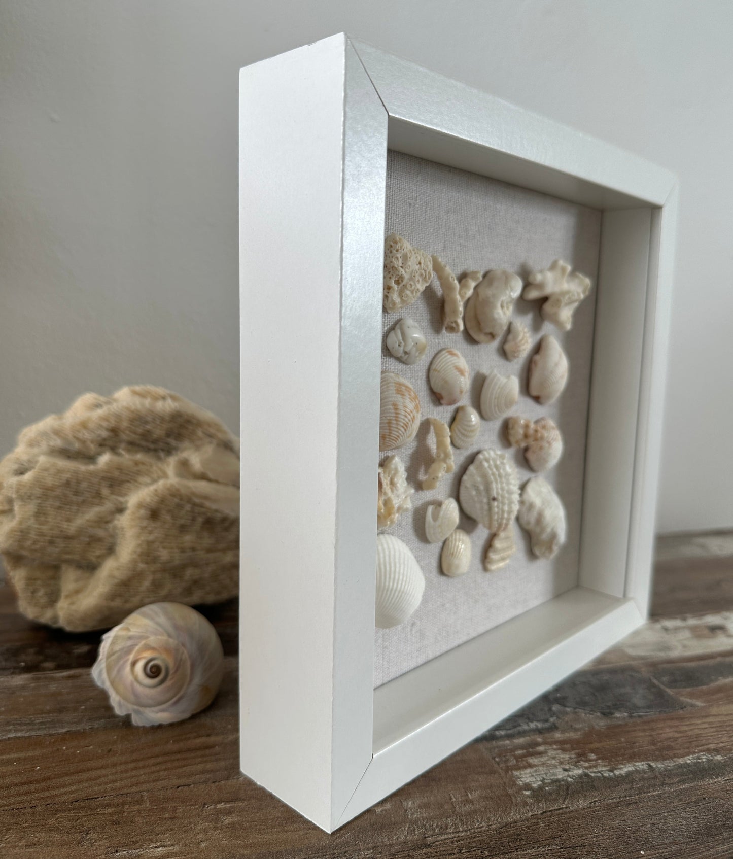8x8 seashell wall art shadow box white on linen side view by jacquelin mb designs