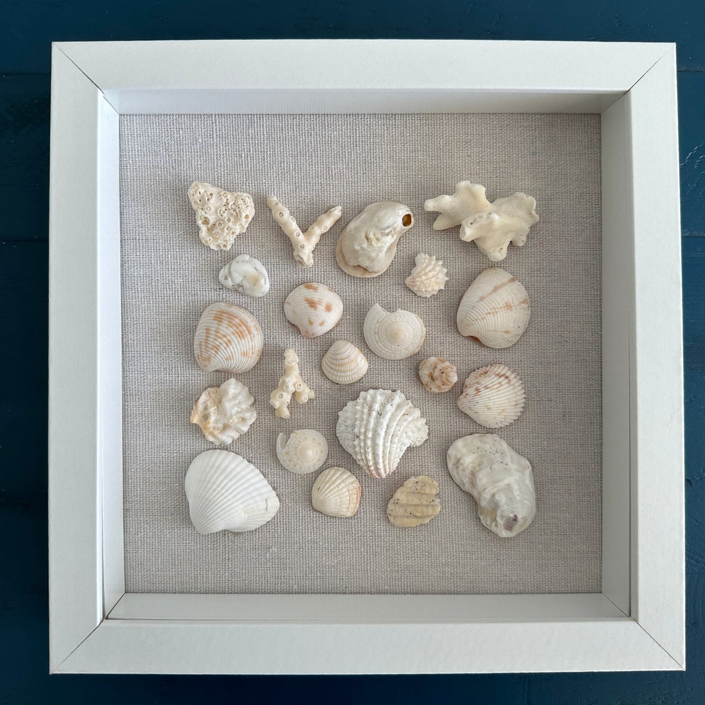 8x8 seashell wall art shadow box white on linen front view by jacquelin mb designs
