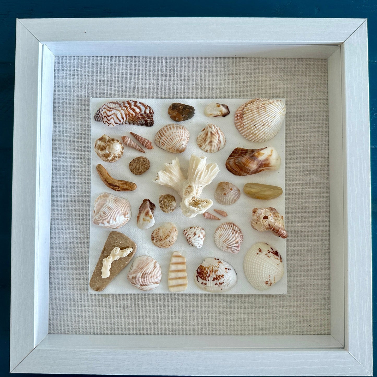 Seashell art 9x9 shadow box whites, browns, orange front view Jacqueline mb designs