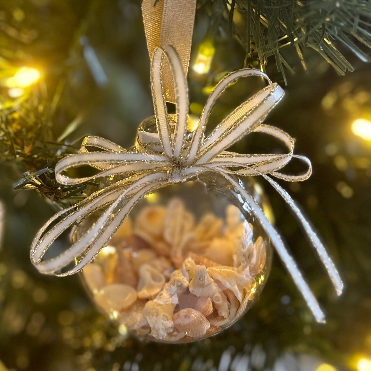 Seashell Ornament - Round Small