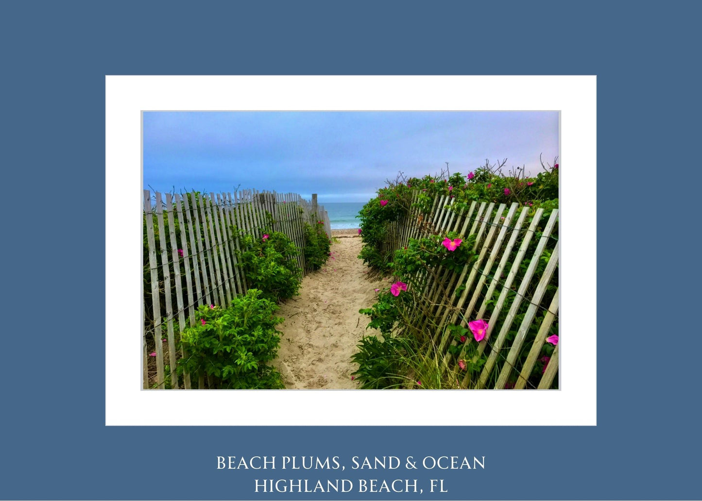 beach plumb sand ocean 5x7 matted print by jacqueline mb designs