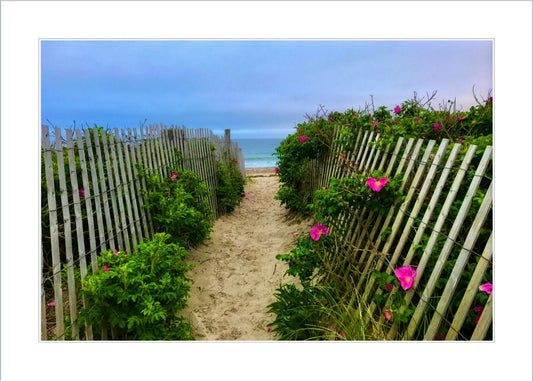 beach plumbs sand ocean 5x7 matted print by jacqueline mb designs