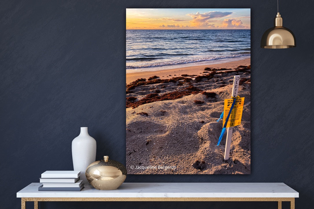 Happy Birthday Sea Turtles - Classic Canvas Print