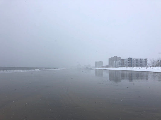 Winter Walk on Beach 2019 - Canvas Print