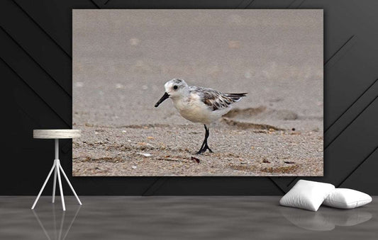 Call me Mr P - Classic Canvas Print