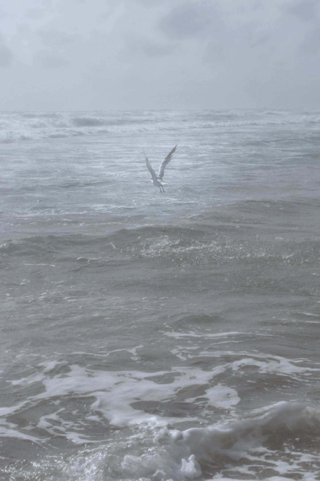 Flight in the Fog - Classic Canvas Print