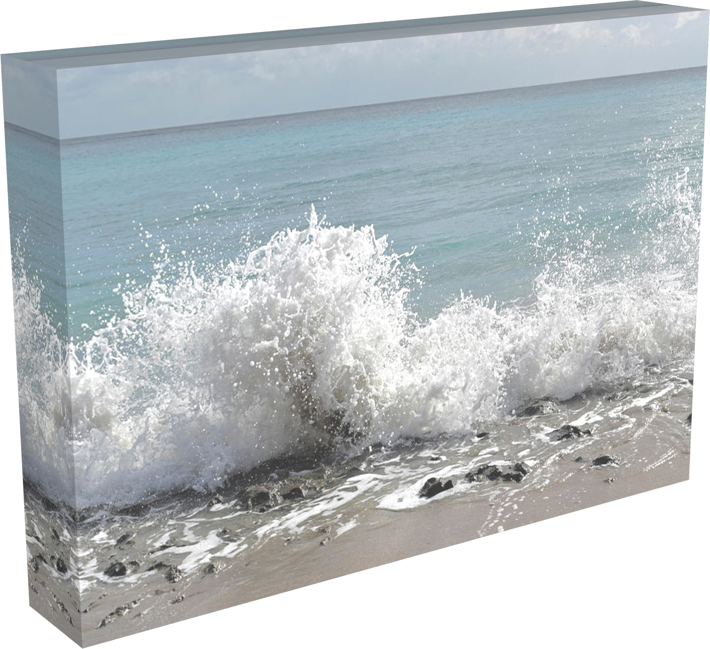 High Five from the Sea - Classic Canvas Print