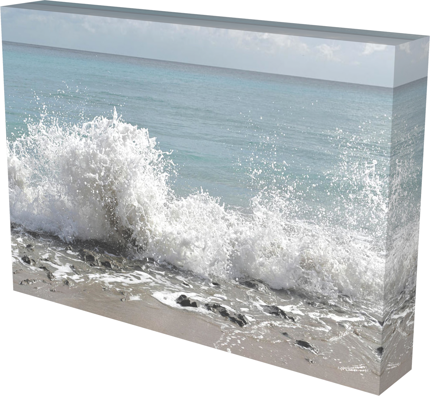High Five from the Sea - Classic Canvas Print