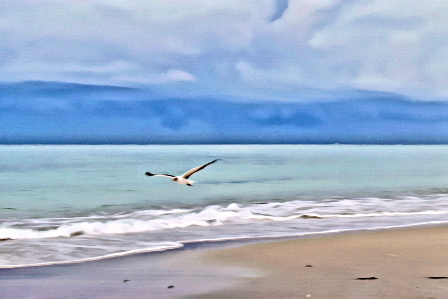 Peacefully Coasting over the Beach  - Classic Canvas Print