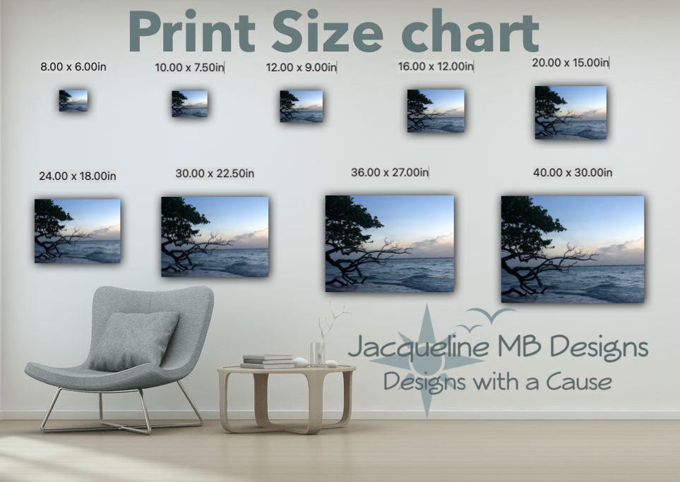 Sunrise & Mr Egret - Classic Canvas Print