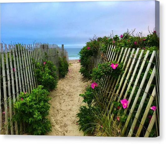 Beach Plums, Sand and Ocean - Classic Canvas Print