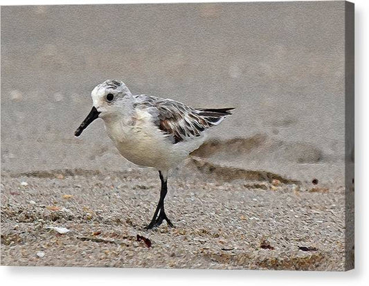 Call me Mr P - Classic Canvas Print