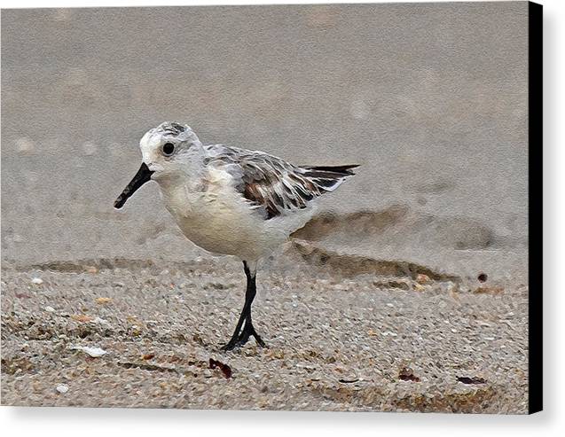 Call me Mr P - Classic Canvas Print