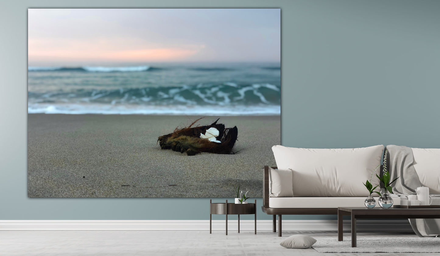 Coconut Washed Ashore - Classic Canvas Print