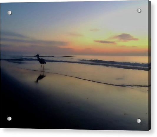 Sunrise & Mr Egret - Classic Acrylic Print