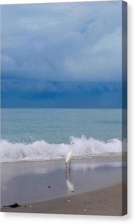 Egret Reflections at Seaside - Classic Canvas Print
