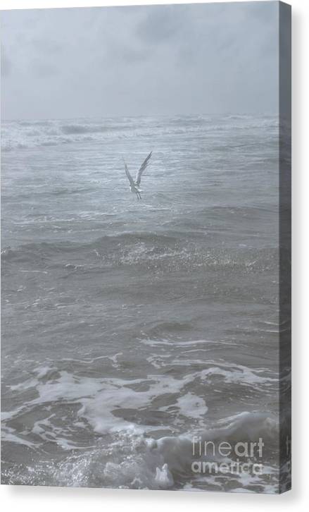 Flight in the Fog - Classic Canvas Print