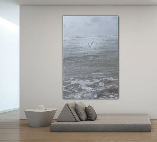 Flight in the Fog - Classic Acrylic Print