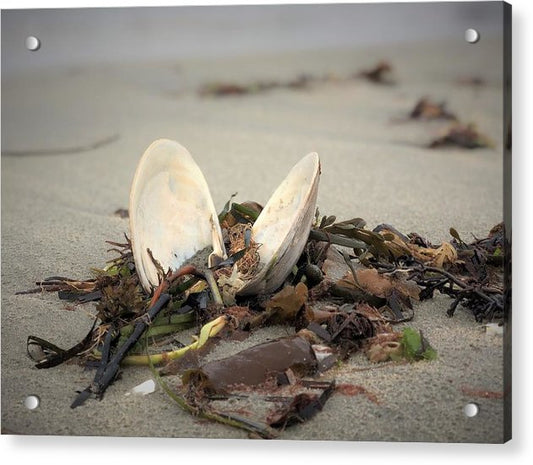 Glutton - Classic Acrylic Print