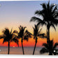 good morning tropical sunrise acrylic print with posts by jacqueline mb designs  