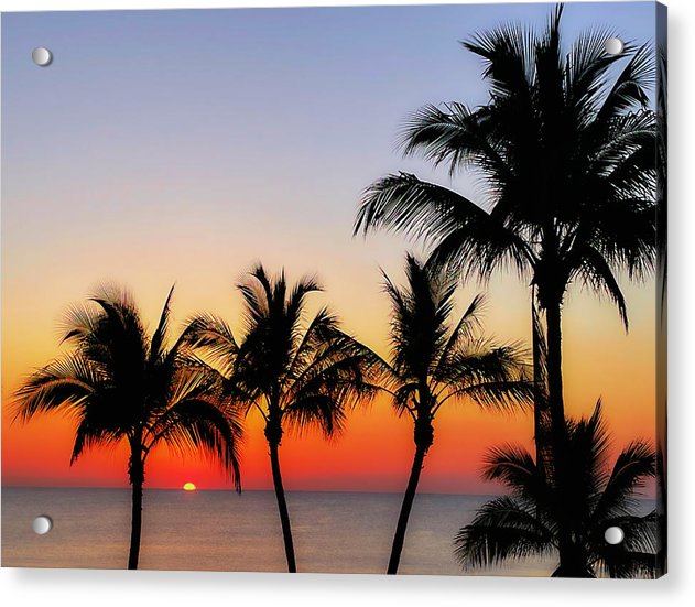 good morning tropical sunrise acrylic print with posts by jacqueline mb designs