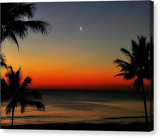 Good Night Tropical Moon - Classic Canvas Print