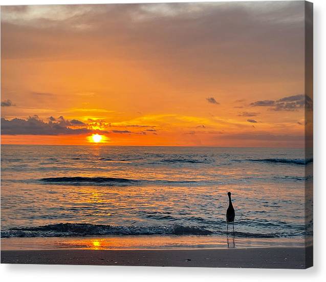 Hanging with Mr Egret - Classic Canvas Print