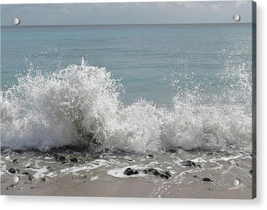 high five from the sea acrylic print with posts by jacqueline mb designs