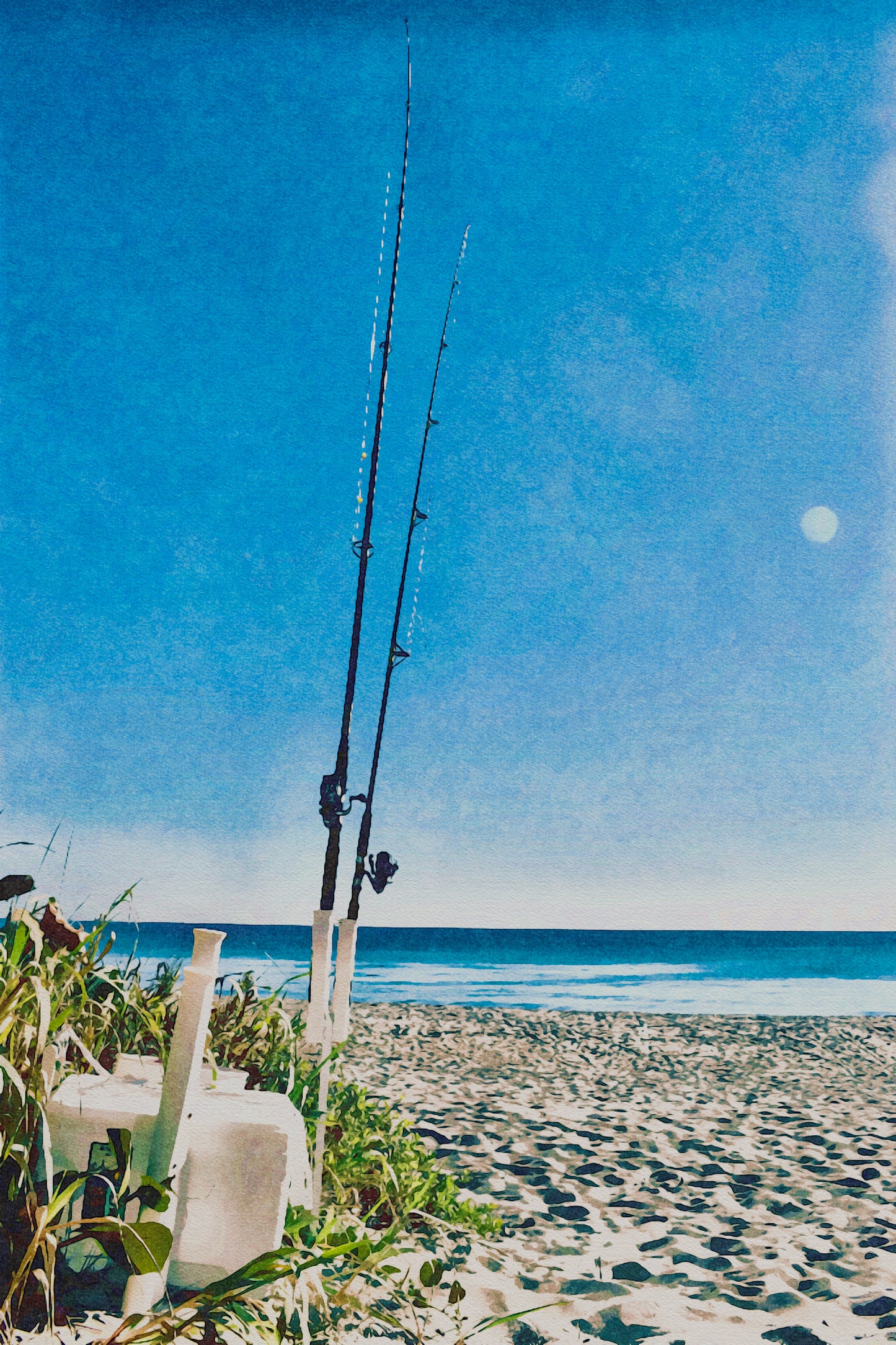 Go Fish - Classic Canvas Print