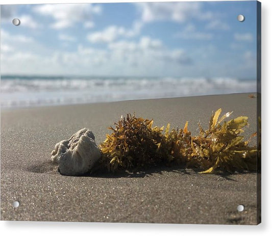 Life on the Beach - Classic Acrylic Print