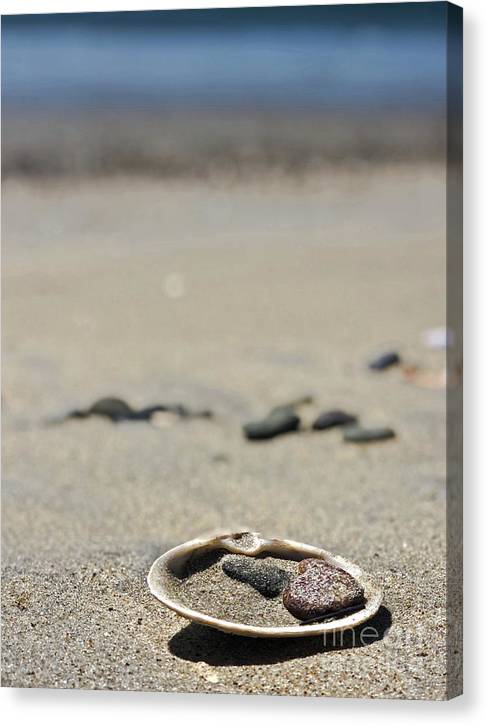 My Heart within a Shell - Classic Canvas Print