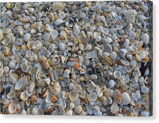 My house was orange - Classic Canvas Print