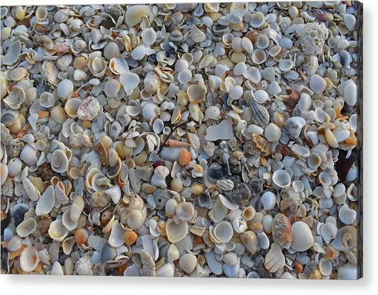 My House was Orange - Classic Acrylic Print