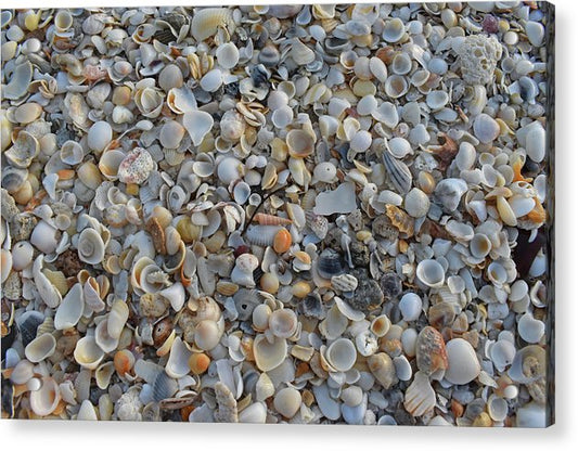 My House was Orange - Classic Acrylic Print