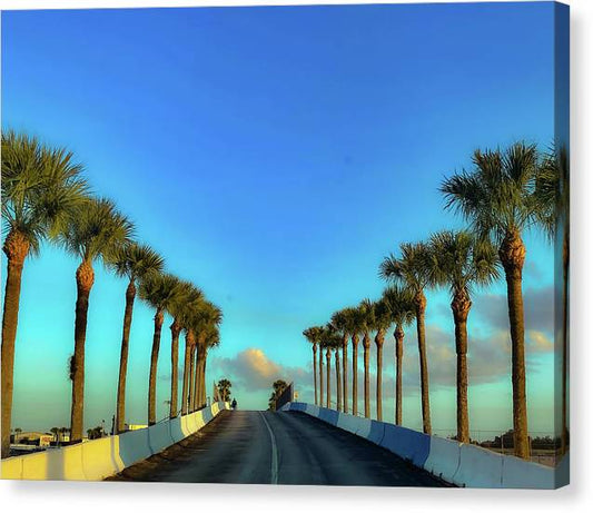 Palm Trees of Sebring - Classic Canvas Print