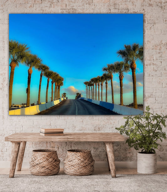Palm Trees of Sebring - Foam Board Print