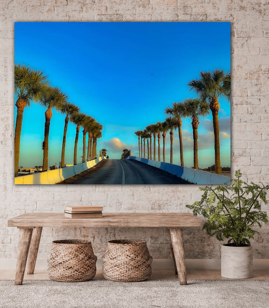 Palm Trees of Sebring - Classic Canvas Print