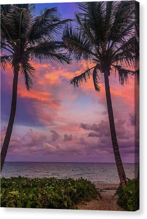 Pathway to Tropical Sunset - Classic Canvas Print