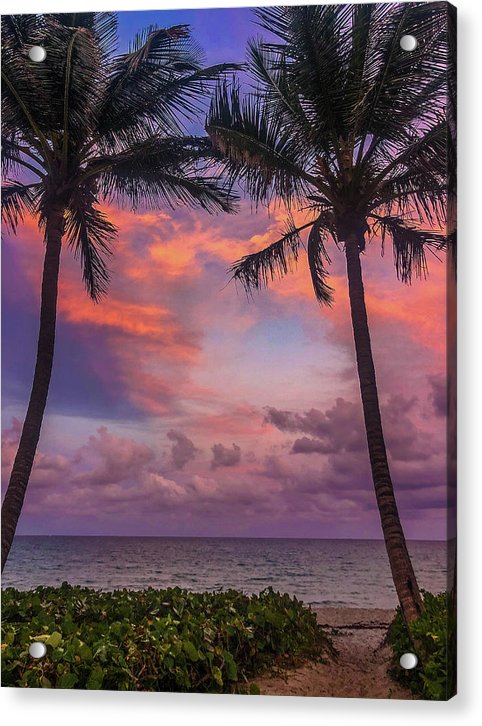 pathway to tropical sunset acrylic print with posts by jacqueline mb designs